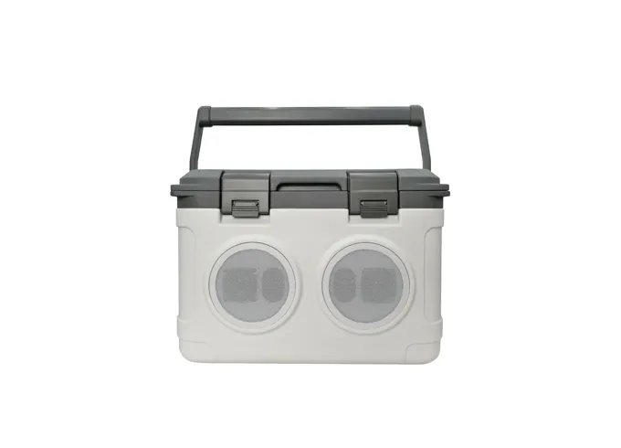 Vacuum Cooler Box SPV-BIB