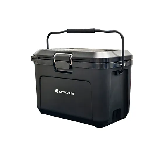 Camping Refrigerated Box