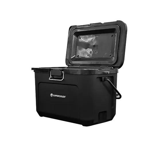 Camping Refrigerated Box