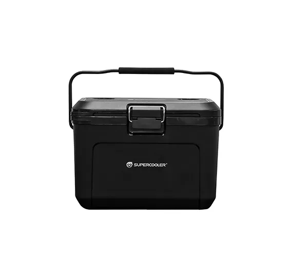 Camping Refrigerated Box