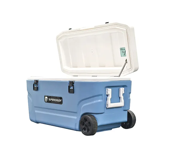 High-Capacity Outdoor Insulated Cooler