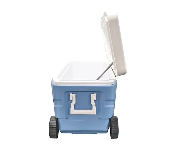 High-Capacity Outdoor Insulated Cooler