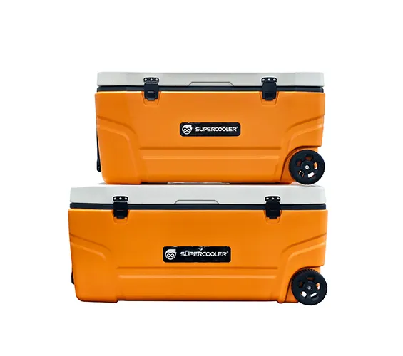 High-Capacity Outdoor Insulated Cooler